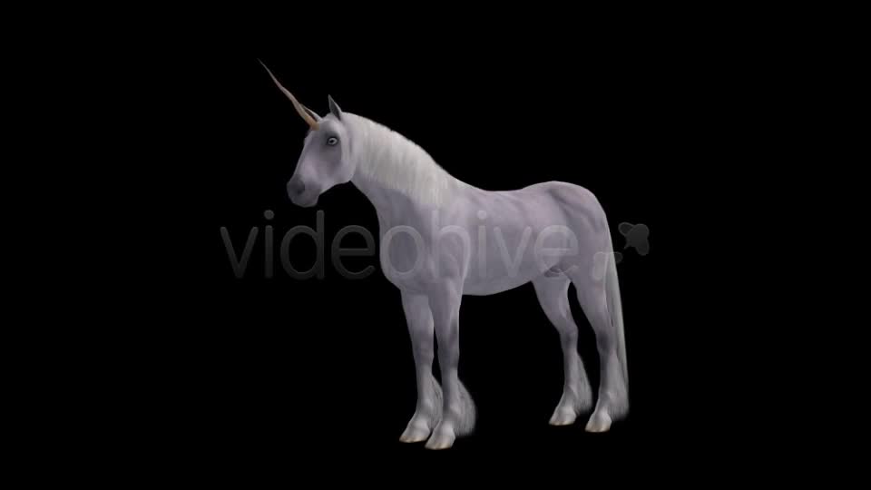 Fantasy Horse White Unicorn Pack of 2 Videohive 6486311 Motion Graphics Image 1