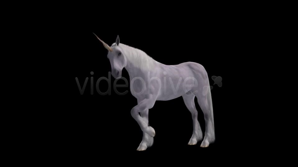 Fantasy Horse White Unicorn Pack of 2 Videohive 6486311 Motion Graphics Image 2