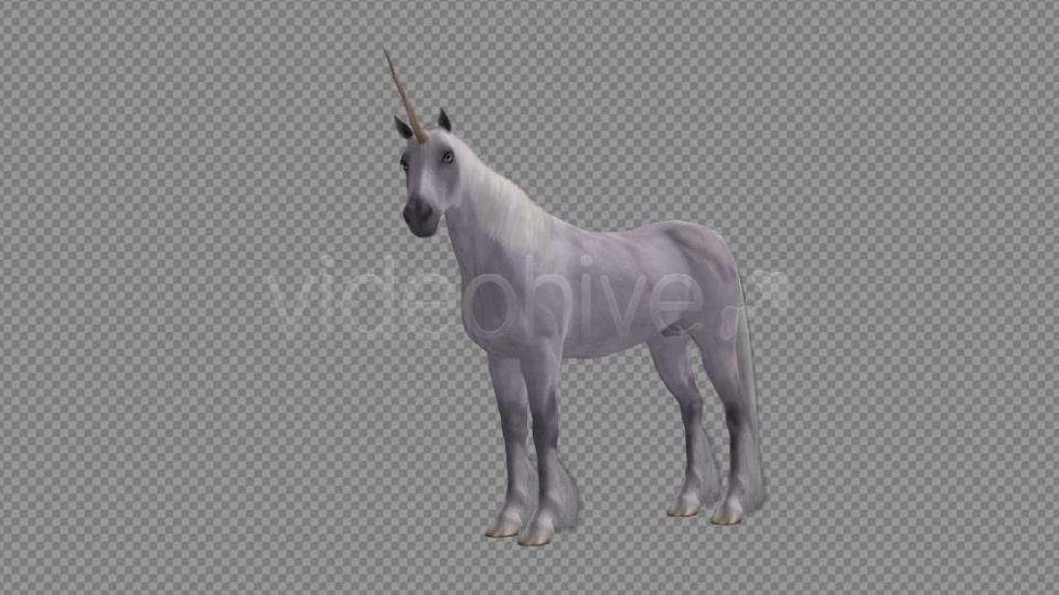 Fantasy Horse White Unicorn Pack of 2 Videohive 6486311 Motion Graphics Image 3