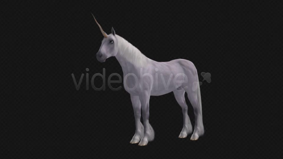 Fantasy Horse White Unicorn Pack of 2 Videohive 6486311 Motion Graphics Image 4