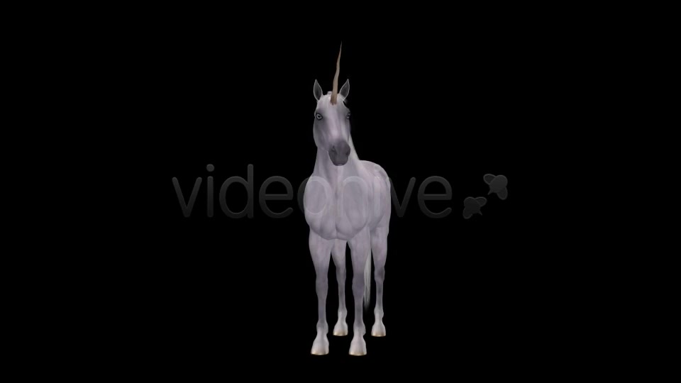 Fantasy Horse White Unicorn Pack of 2 Videohive 6486311 Motion Graphics Image 5