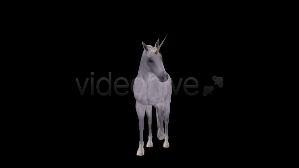 Fantasy Horse White Unicorn Pack of 2 Videohive 6486311 Motion Graphics Image 6