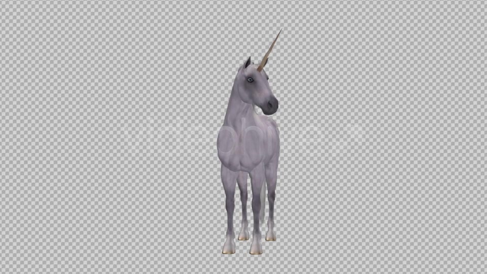 Fantasy Horse White Unicorn Pack of 2 Videohive 6486311 Motion Graphics Image 7