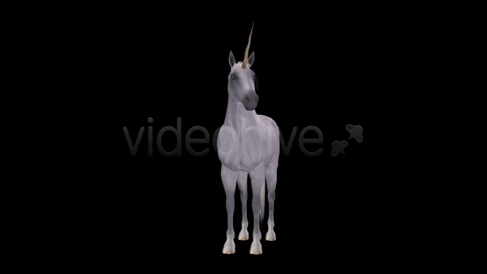 Fantasy Horse White Unicorn Pack of 2 Videohive 6486311 Motion Graphics Image 8