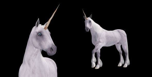 Fantasy Horse White Unicorn Pack of 2 - Download Videohive 6486311