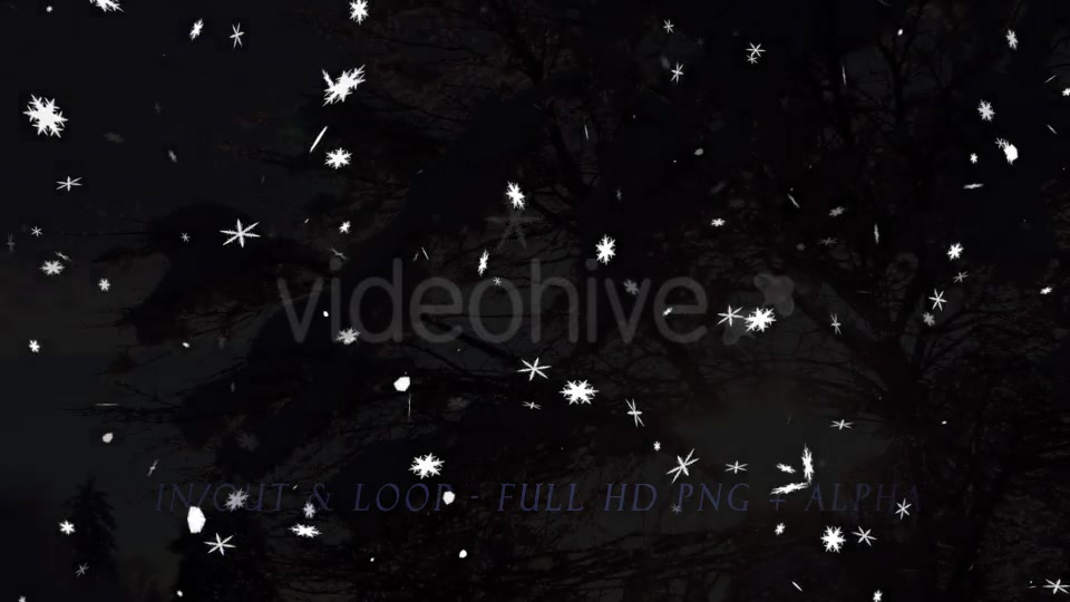 Fantasy Snow Pack of 2 Videohive 9737704 Motion Graphics Image 7