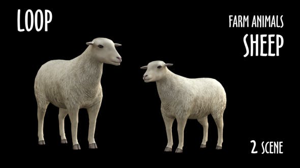 Farm Animals Sheep 2 Scene - Videohive Download 18297709