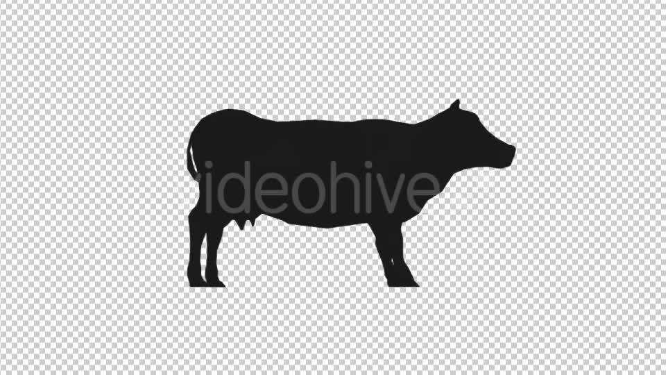 Farm Animals Silhouettes Pack Videohive 17456519 Motion Graphics Image 1