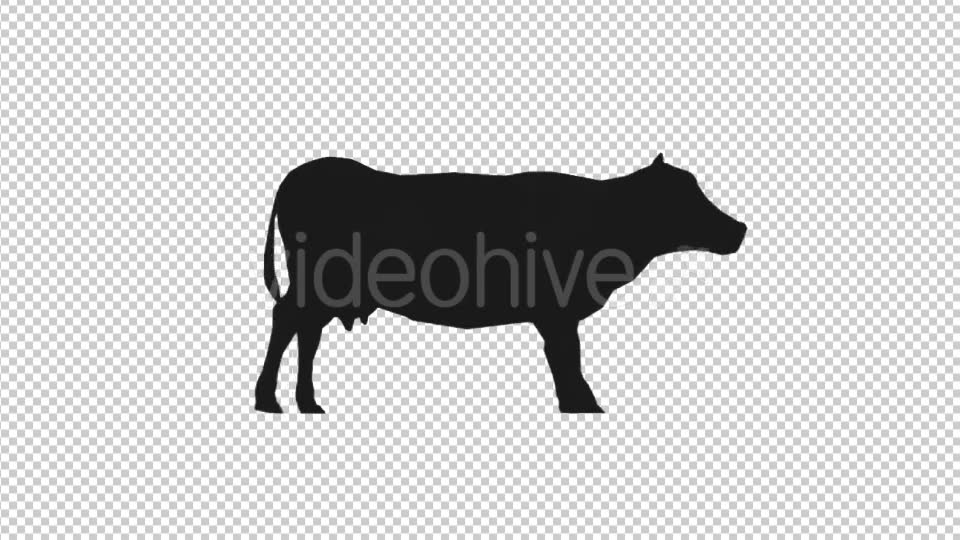 Farm Animals Silhouettes Pack Videohive 17456519 Motion Graphics Image 2