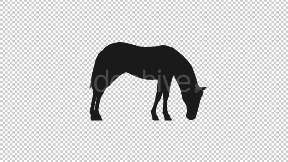 Farm Animals Silhouettes Pack Videohive 17456519 Motion Graphics Image 3