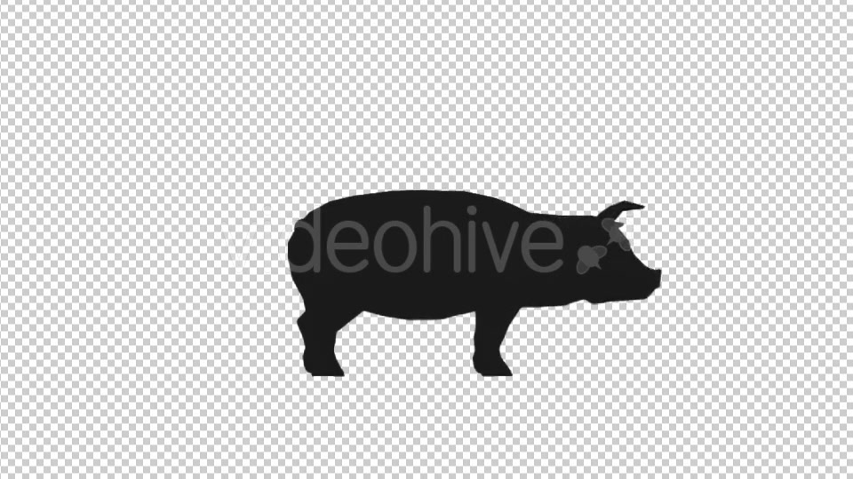 Farm Animals Silhouettes Pack Videohive 17456519 Motion Graphics Image 4