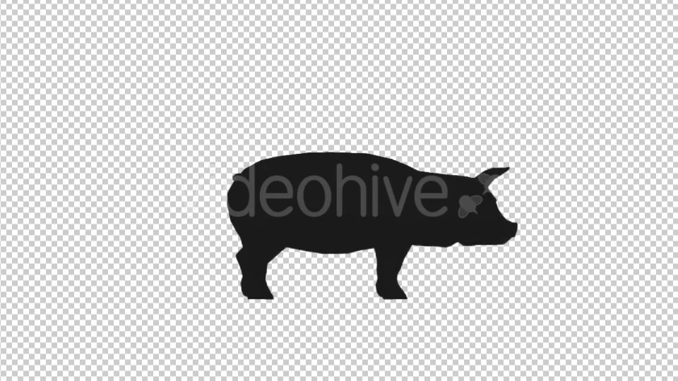 Farm Animals Silhouettes Pack Videohive 17456519 Motion Graphics Image 5