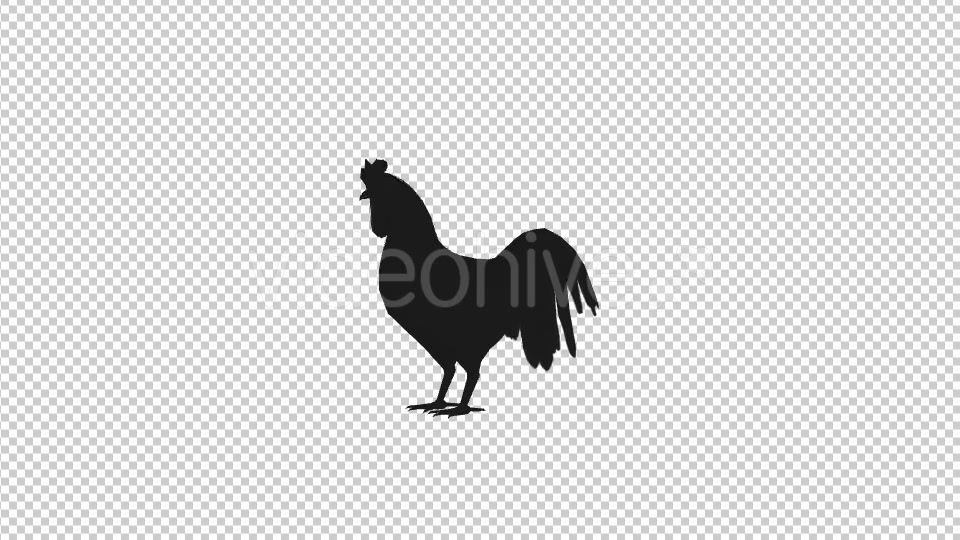 Farm Animals Silhouettes Pack Videohive 17456519 Motion Graphics Image 6