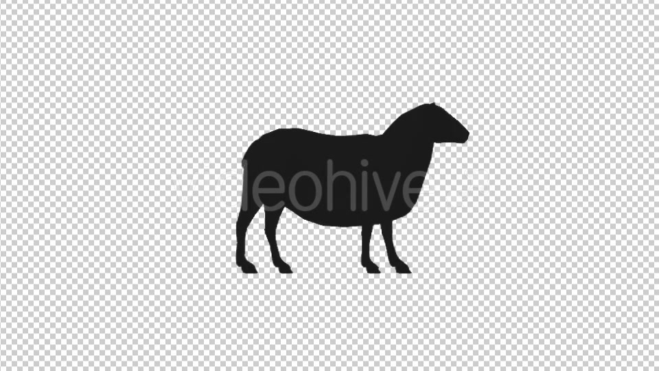 Farm Animals Silhouettes Pack Videohive 17456519 Motion Graphics Image 7