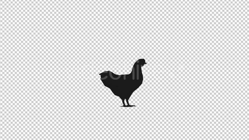 Farm Animals Silhouettes Pack Videohive 17456519 Motion Graphics Image 9