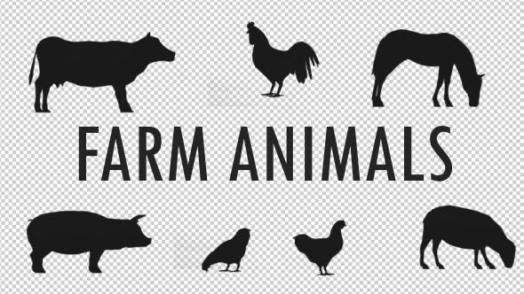 Farm Animals Silhouettes Pack - Videohive 17456519 Download