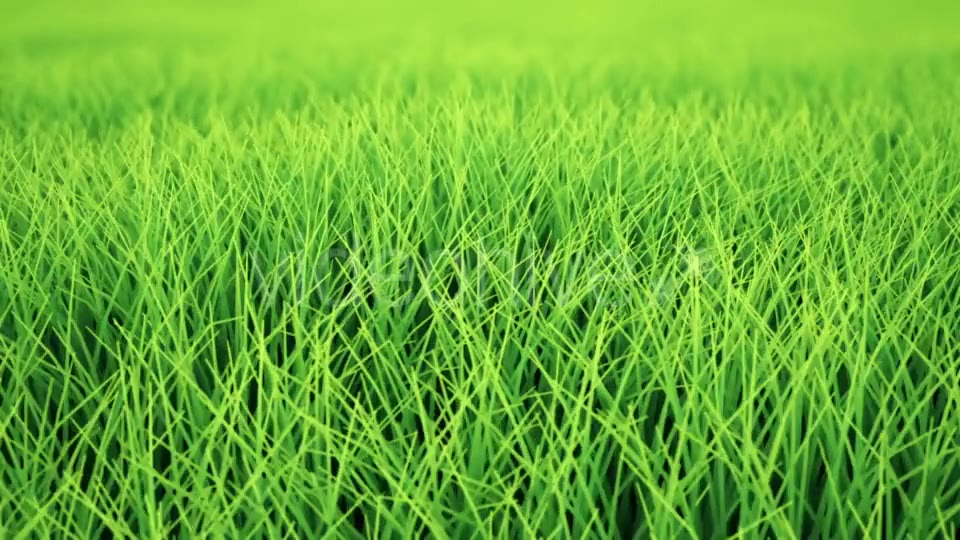 Fast Low Flight Over Grass, DOF, Loop Videohive 19993717 Motion Graphics Image 3
