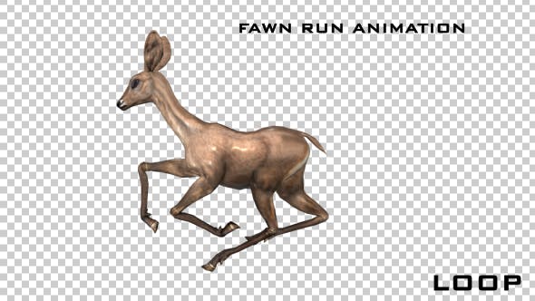 Fawn Run Animation - Download 21045595 Videohive