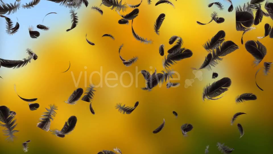 Feather Transition Videohive 11905870 Motion Graphics Image 2
