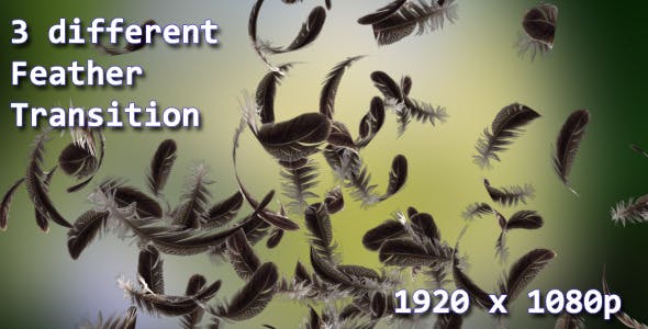 Feather Transition - Videohive 11905870 Download
