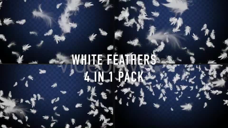 Feathers Overlays Pack Videohive 20275629 Motion Graphics Image 1