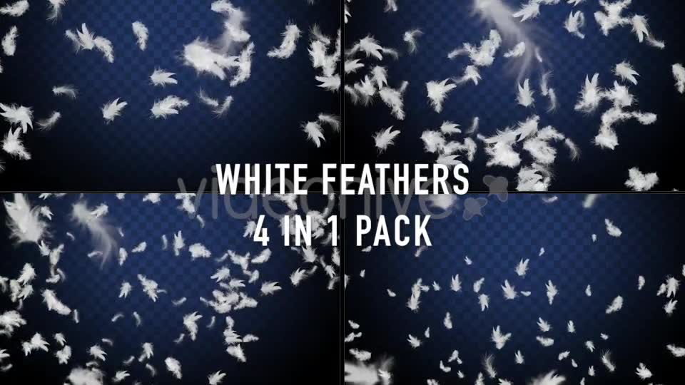 Feathers Overlays Pack Videohive 20275629 Motion Graphics Image 2