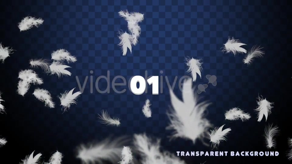 Feathers Overlays Pack Videohive 20275629 Motion Graphics Image 4