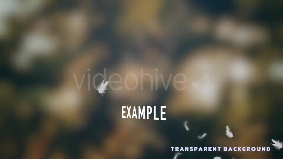 Feathers Overlays Pack Videohive 20275629 Motion Graphics Image 7