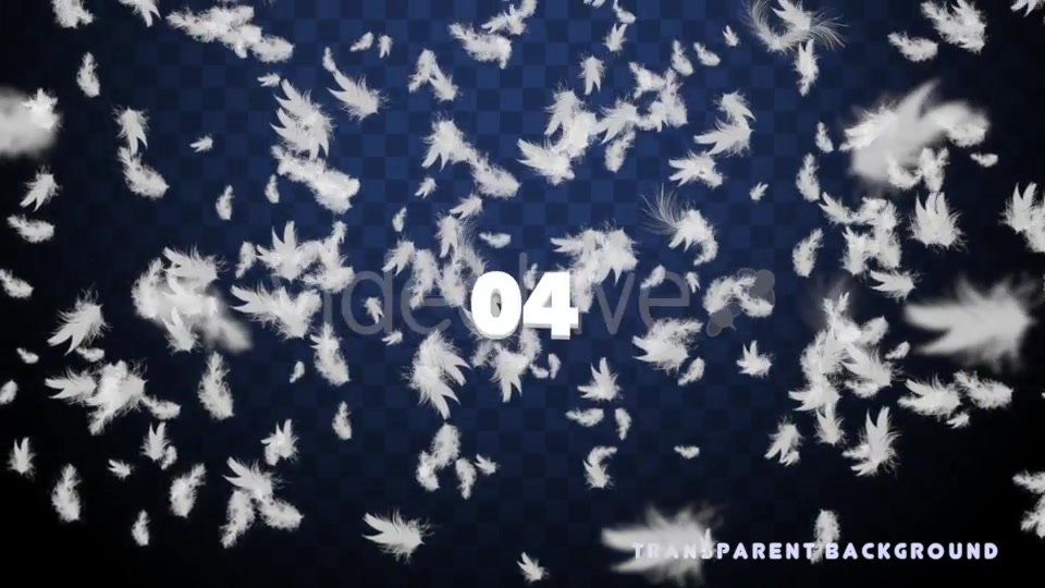 Feathers Overlays Pack Videohive 20275629 Motion Graphics Image 8