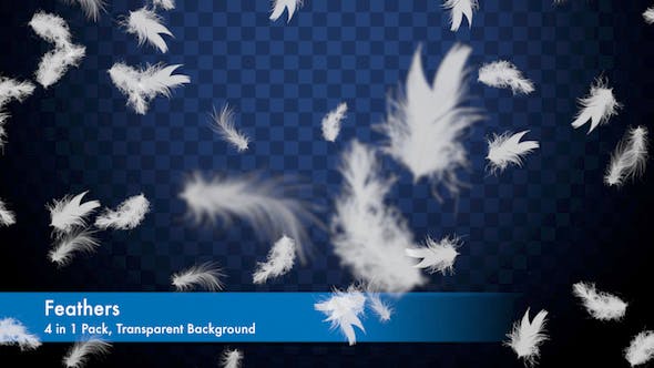 Feathers Overlays Pack - Videohive Download 20275629