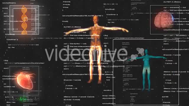 Female Anatomy Medical HUD Animation Videohive 21366051 Motion Graphics Image 1