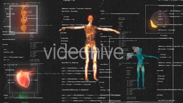 Female Anatomy Medical HUD Animation Videohive 21366051 Motion Graphics Image 10