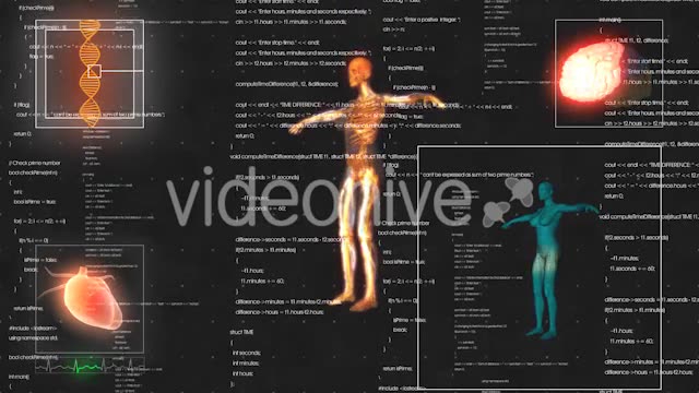Female Anatomy Medical HUD Animation Videohive 21366051 Motion Graphics Image 2
