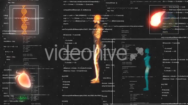Female Anatomy Medical HUD Animation Videohive 21366051 Motion Graphics Image 3