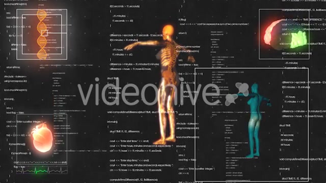 Female Anatomy Medical HUD Animation Videohive 21366051 Motion Graphics Image 4