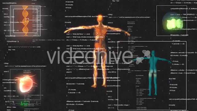 Female Anatomy Medical HUD Animation Videohive 21366051 Motion Graphics Image 5
