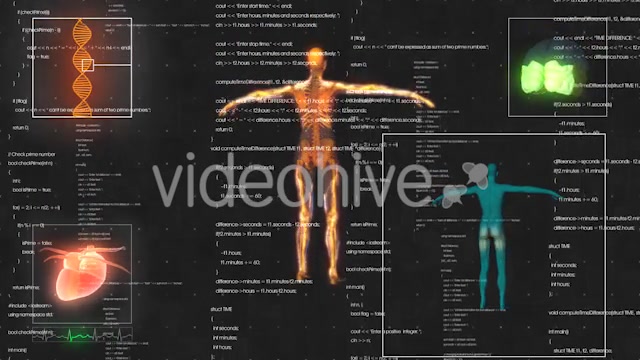 Female Anatomy Medical HUD Animation Videohive 21366051 Motion Graphics Image 6