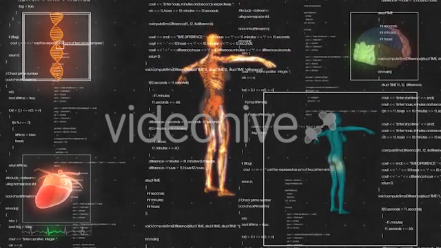 Female Anatomy Medical HUD Animation Videohive 21366051 Motion Graphics Image 7