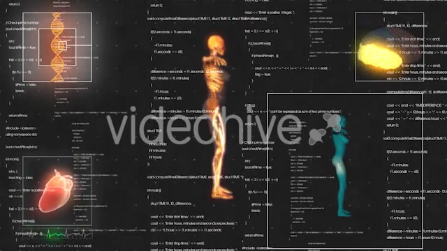 Female Anatomy Medical HUD Animation Videohive 21366051 Motion Graphics Image 8