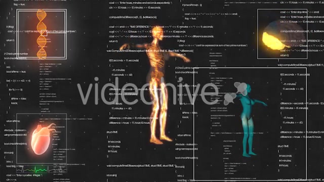 Female Anatomy Medical HUD Animation Videohive 21366051 Motion Graphics Image 9