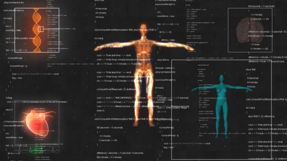 Female Anatomy Medical HUD Animation - Videohive 21366051 Download