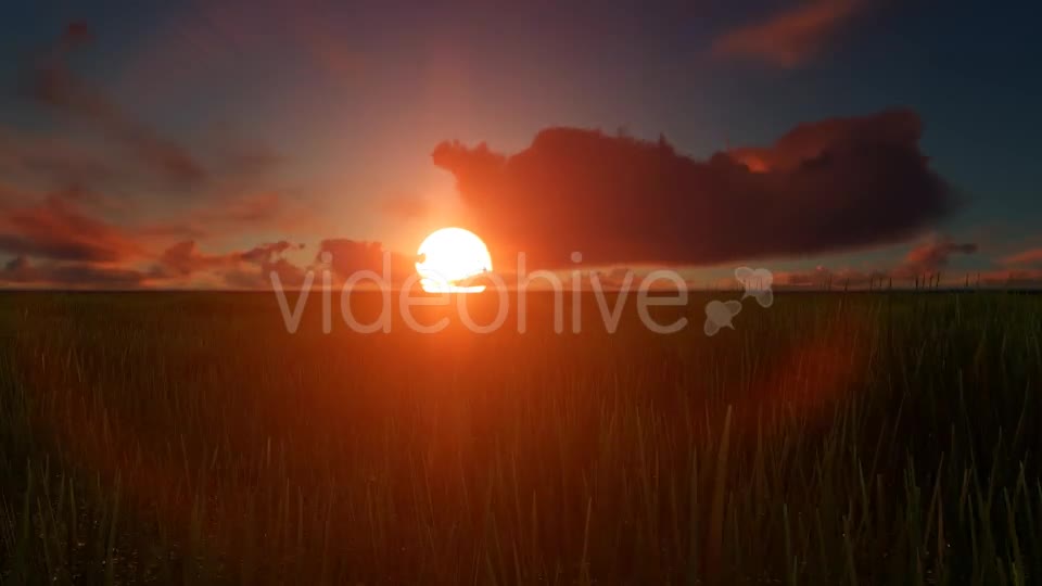 Field sunset Videohive 19456137 Motion Graphics Image 1