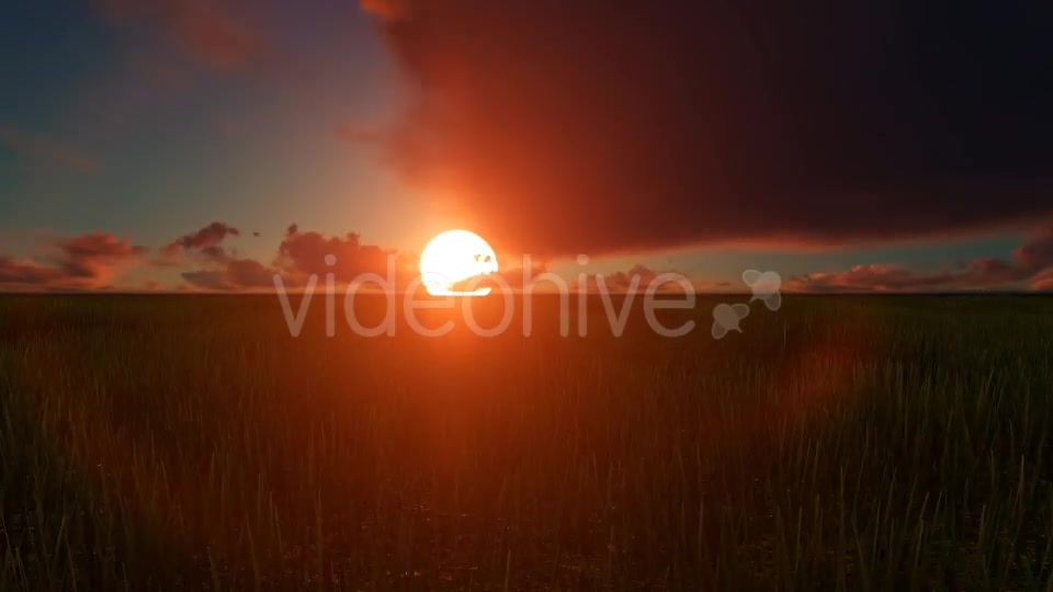 Field sunset Videohive 19456137 Motion Graphics Image 2