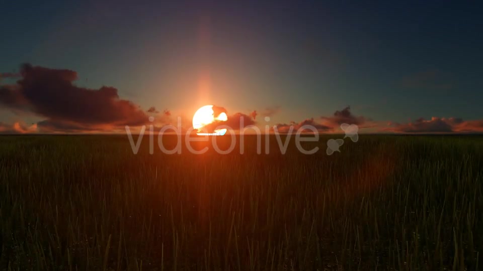 Field sunset Videohive 19456137 Motion Graphics Image 4