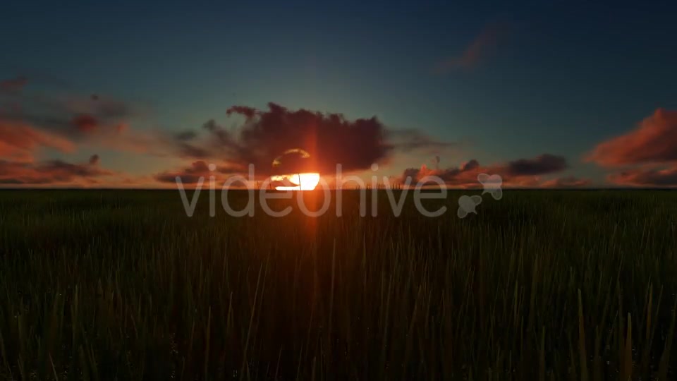 Field sunset Videohive 19456137 Motion Graphics Image 6