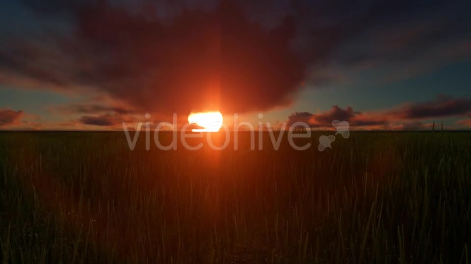 Field sunset Videohive 19456137 Motion Graphics Image 7