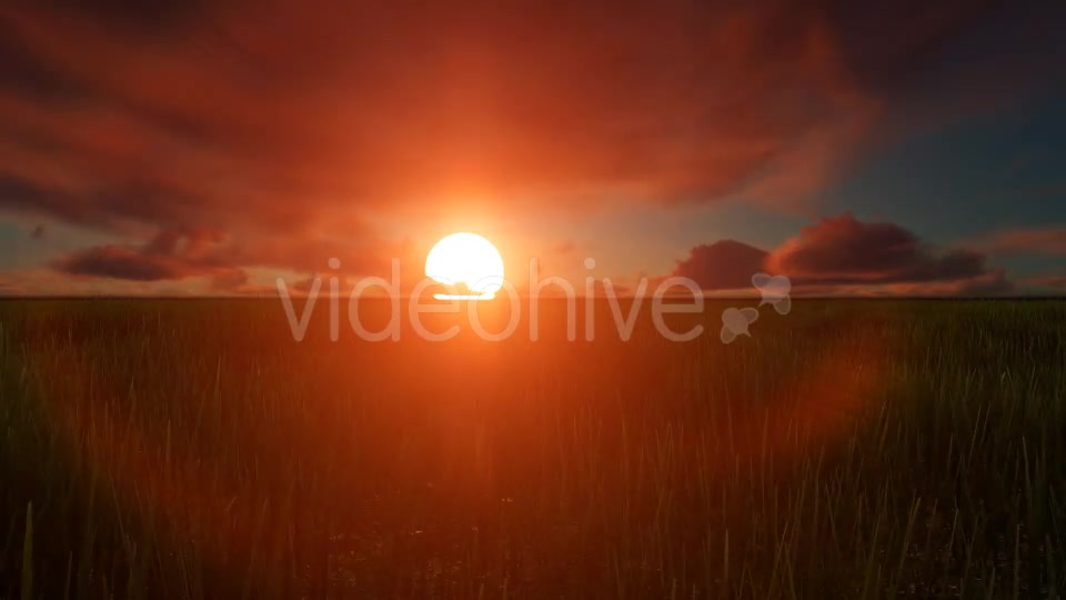 Field sunset Videohive 19456137 Motion Graphics Image 8