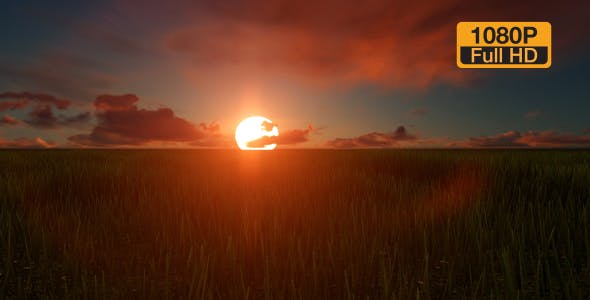 Field sunset - Download 19456137 Videohive