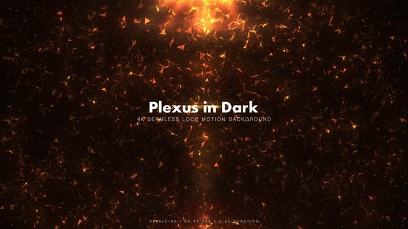 Fiery Plexus in Dark - 10260319 Download Videohive