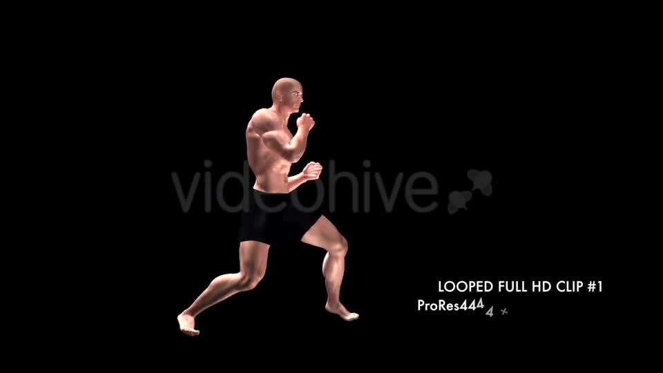 Fight Club Boxing White Male Pack of 6 Videohive 12322911 Motion Graphics Image 1
